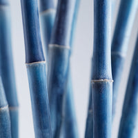 BLUE BAMBOO