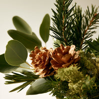 CEDAR BLAZE