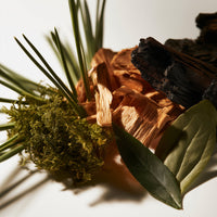 COLORADO PINE