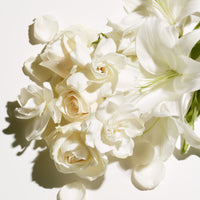 BLOOM SHOP