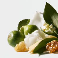 GREEN FIG