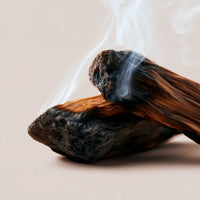 HOLLY SANDALWOOD