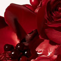 VELVET ROSE