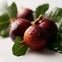 FIG LEAF
