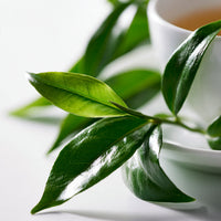 GREEN TEA