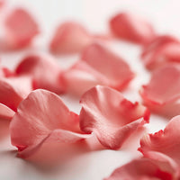 ROSE PETAL