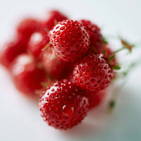 NAT WILD STRAWBERRY
